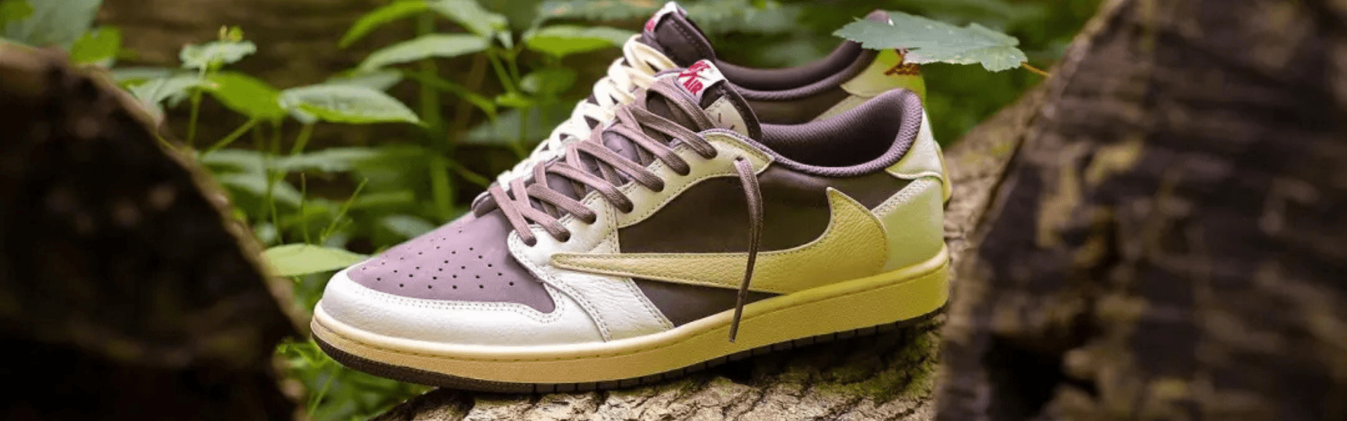 Why We Invested in Reluxe