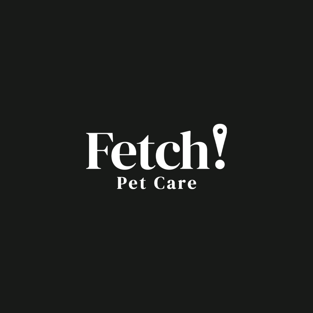 Fetch