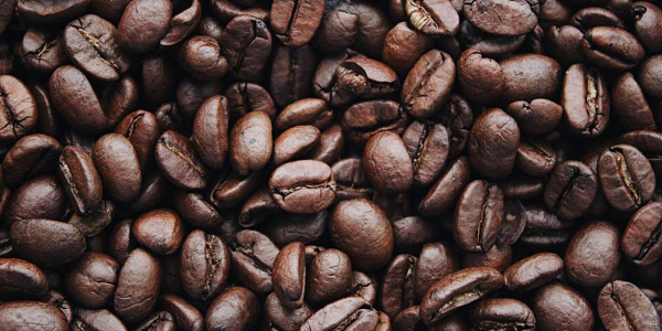 Why We Invested in First Tee Coffee